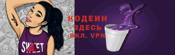 индика Каменск-Шахтинский