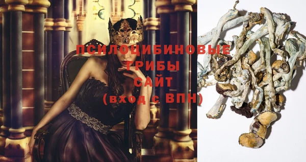 индика Каменск-Шахтинский
