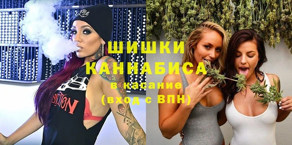 индика Каменск-Шахтинский