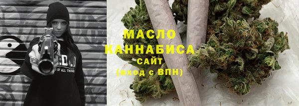 индика Каменск-Шахтинский