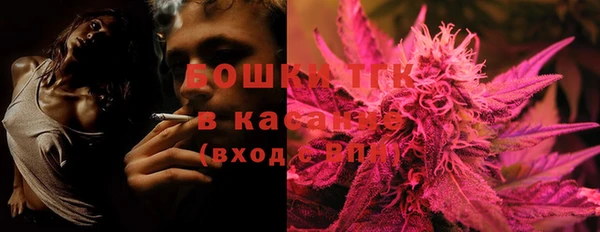 индика Каменск-Шахтинский