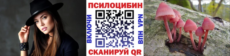 Псилоцибиновые грибы Cubensis  Каспийск 
