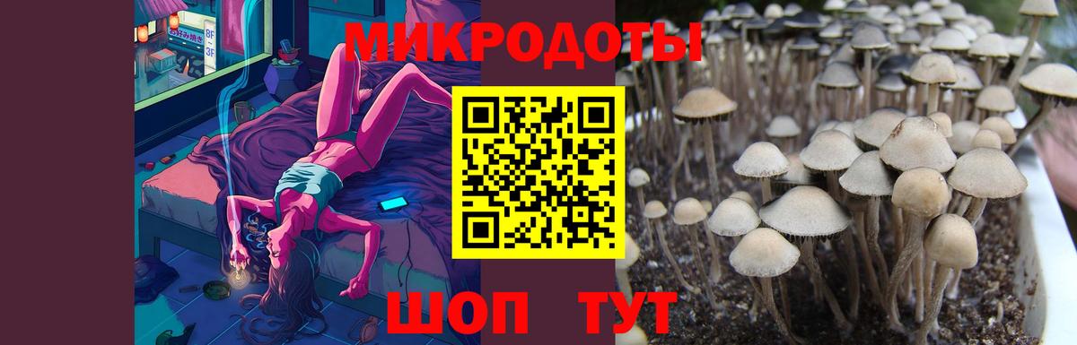 Псилоцибиновые грибы MAGIC MUSHROOMS Каспийск