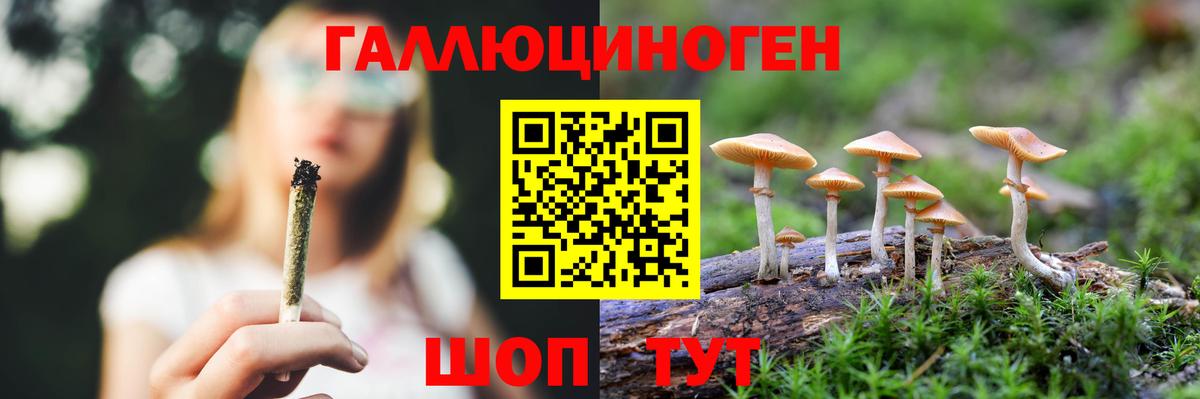 Каспийск  Псилоцибиновые грибы мухоморы  Вход с VPN 